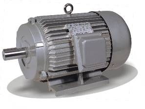 Y series three phase electric motor